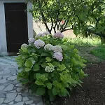 Appartamento With Parking Space Orebic, Peljesac - 4524