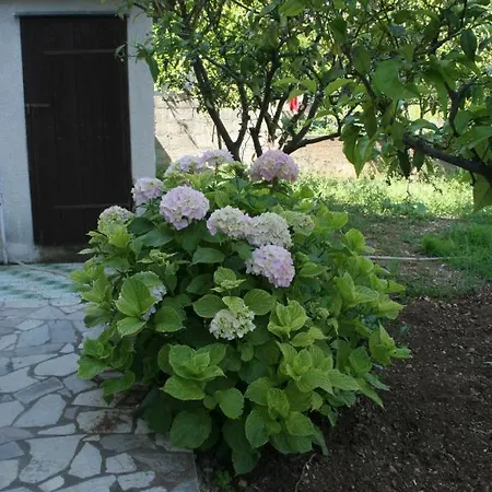 Apartment With Parking Space Orebic, Peljesac - 4524