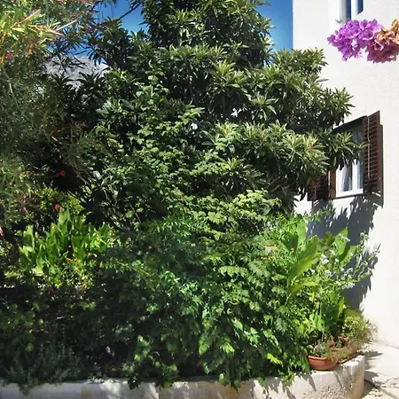 Apartment With Parking Space Orebic, Peljesac - 4524 *