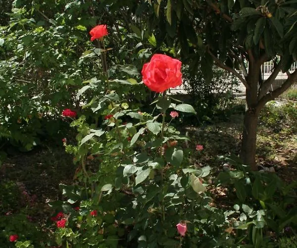 With Parking Space Orebic, Peljesac - 4524 Διαμέρισμα *