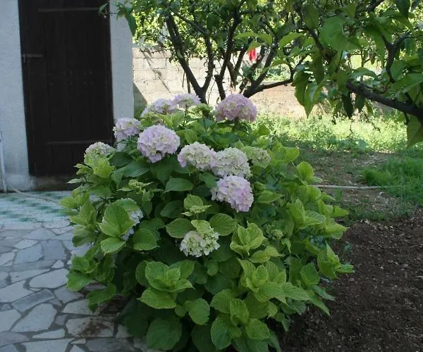 Διαμέρισμα With Parking Space Orebic, Peljesac - 4524